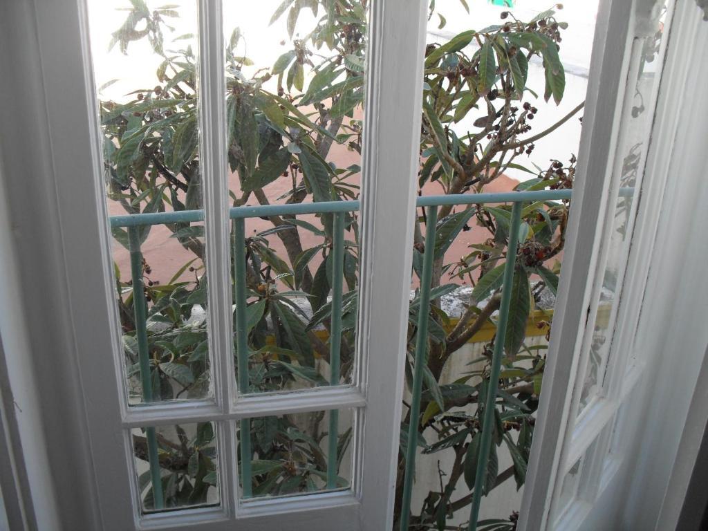 Casa Verde Ferreira Do Alentejo Zimmer foto